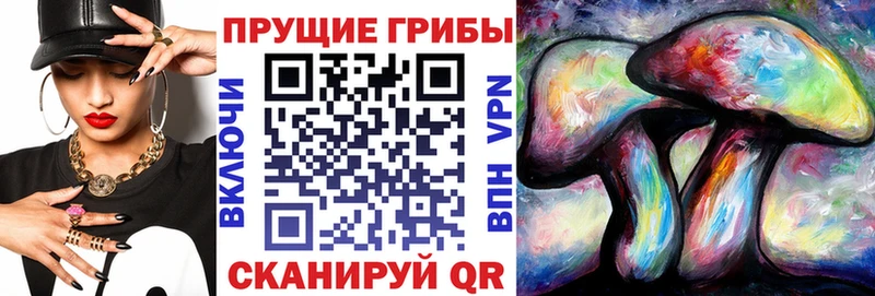 omg сайт  где продают наркотики  Южно-Сахалинск  Псилоцибиновые грибы мицелий 