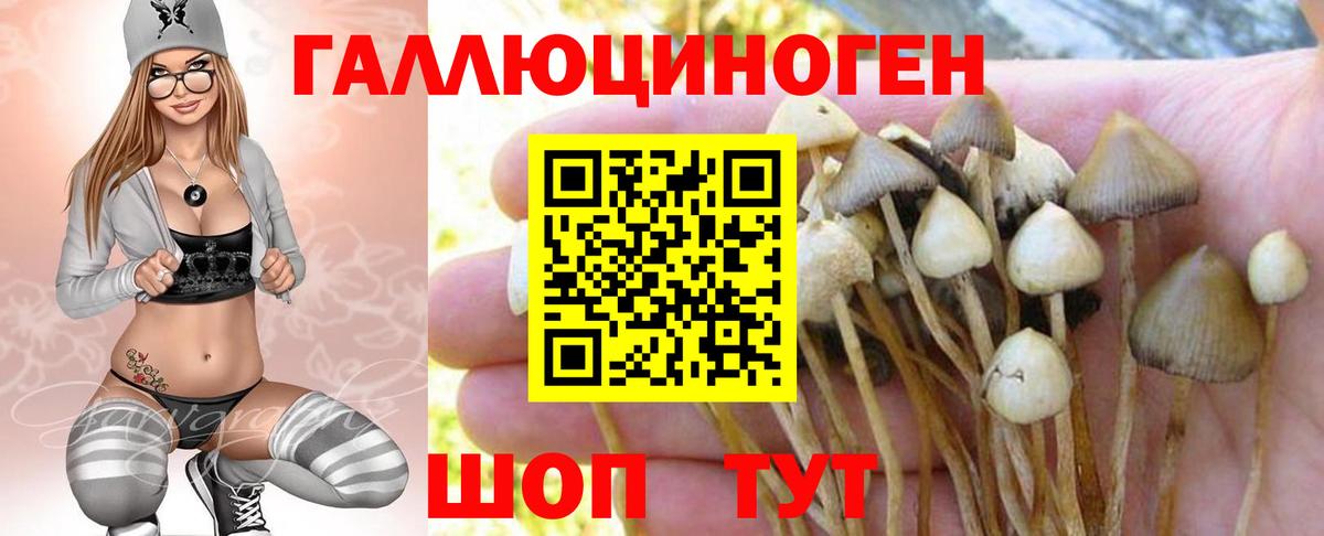 цена наркотик  Псилоцибиновые грибы прущие грибы  Вход с VPN  Южно-Сахалинск 